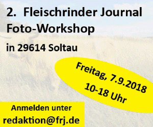 20180731 BDF Fotoworkshop