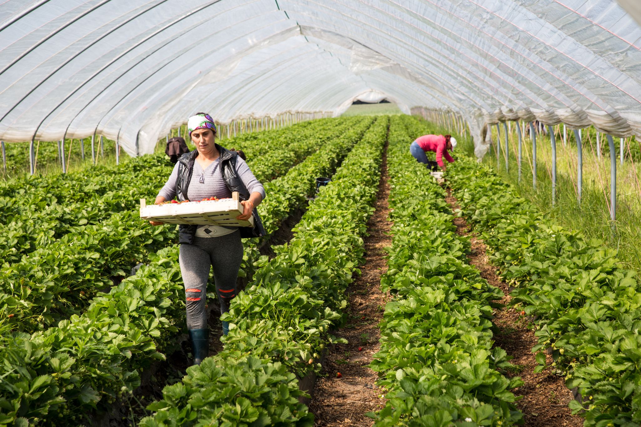 (c) www.istockphoto.com, fotografixx