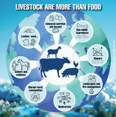 ATF - Seminar: Livestock are more than food
&copy; ATF