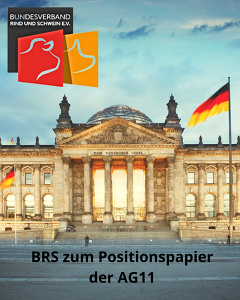 BRS zum Positionspapier der AG11