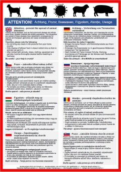 Flyer Tierseuchen 2025