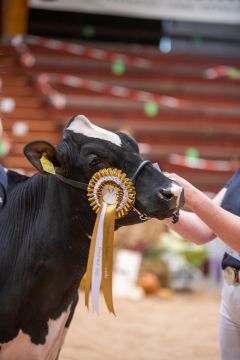 DSC 3371
&copy; Dorothee Warder