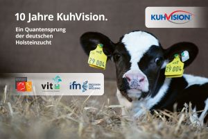 10 Jahre KuhVision
© Dorothee Warder