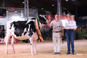 Loh SCH Mojito
&copy; Heinrich Schulte