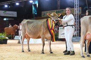 KFV Cinderella von Wiethege, Kaufmann, Spanier Siegerfärse Jersey
&copy; Christine Massfeller