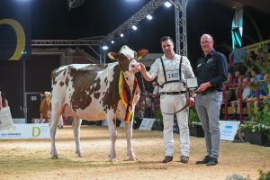 Siegerfärse Red Holstein Rosalie  (Mirand PP) von Henrik Wille, Essen
&copy; Christine Massfeller