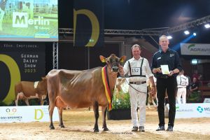 Grand Champion Jersey WIT Jambalaya (Barnabas) von Thomas Wiethege
&copy; Christine Massfeller