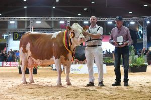 Grand Champion Fleckvieh Larissa von Hilsenbek aus Ellwangen
&copy; Christine Massfeller