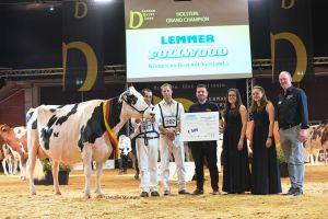 Grand Champion Holstein Elina von Wilcor Holsteins aus Warmsen
&copy; Christine Massfeller