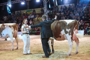 Grand Champion Red Holsteins ZR Helene von Thomas Rohdemann
&copy; Christine Massfeller