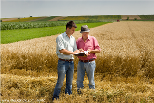 Quelle: www.istockphoto.com, Jevtic - R+V Managerversicherung