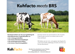 BRS und KuhFacto starten zum 1. Januar eine Medienpartnerschaft
&copy; Kuhfacto