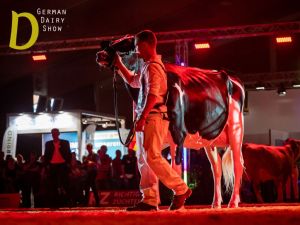 German Dairy Show
&copy; Mathias Penn