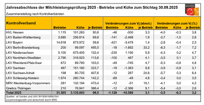 MLP2025 Tabelle2